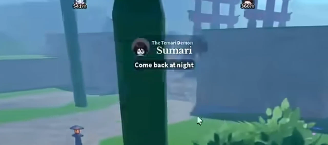 Sumari's plate in daylight