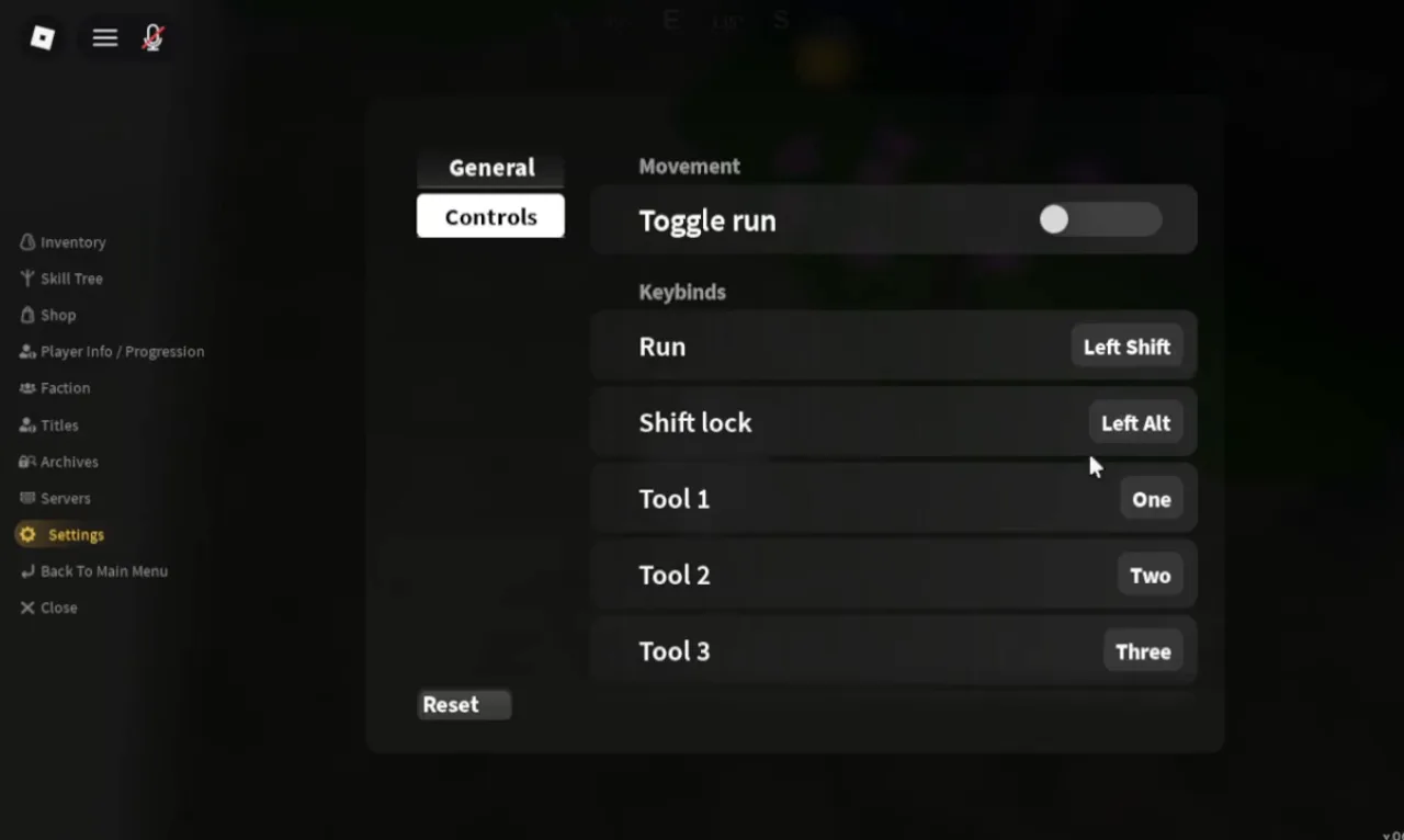 The Controls tab listing the default PC keys