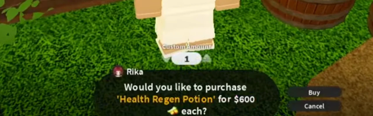 Rika's purchase box with a custom amount