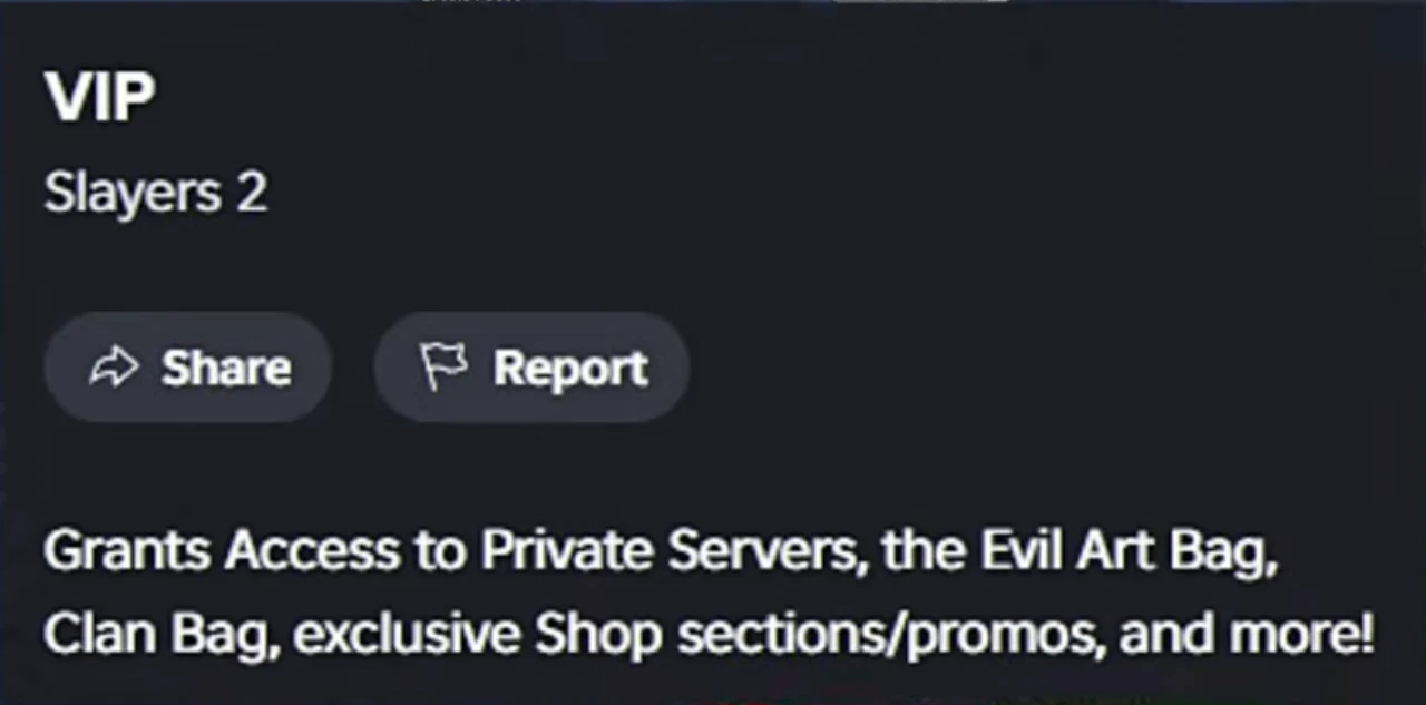 The VIP subscription's description on Roblox